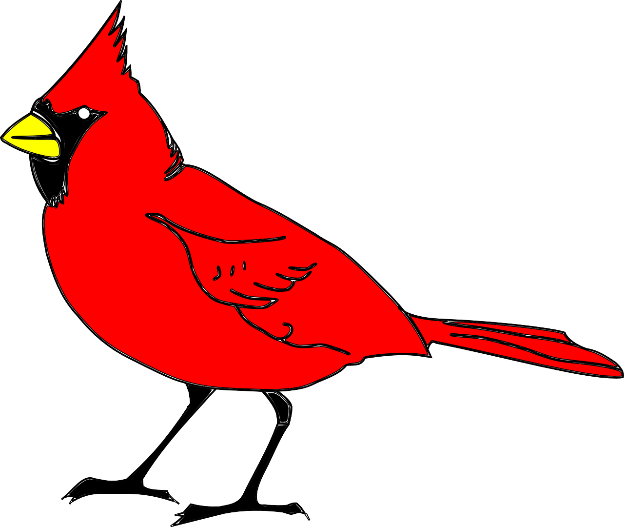 ¿Qué significa cuando se te aparece un cardenal?