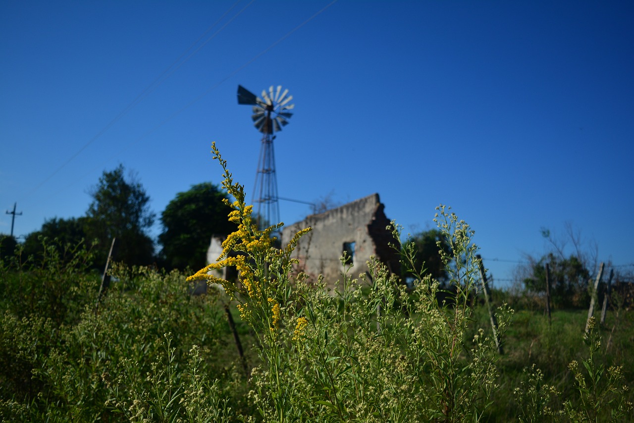 ¿Qué trata la historia de don Quijote de la Mancha?