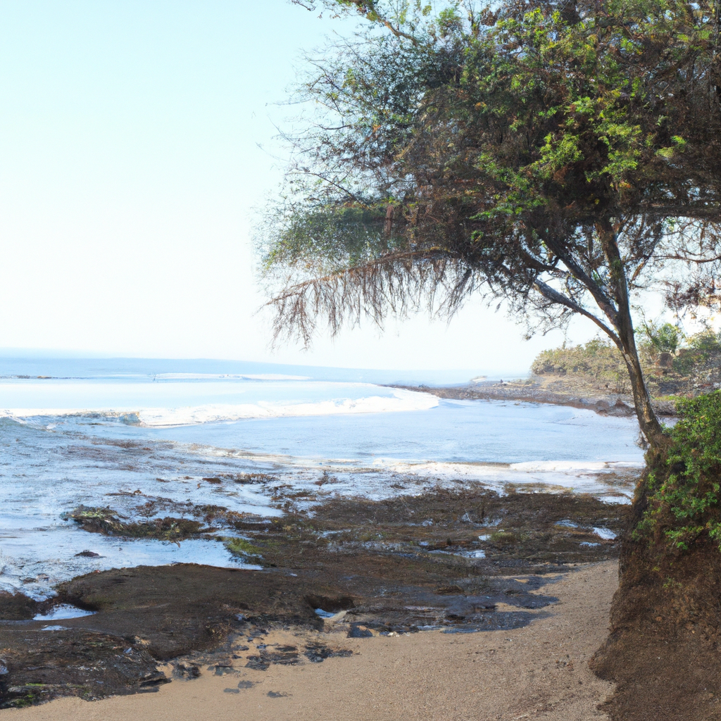 ¿Qué palabras se relacionan con playa?