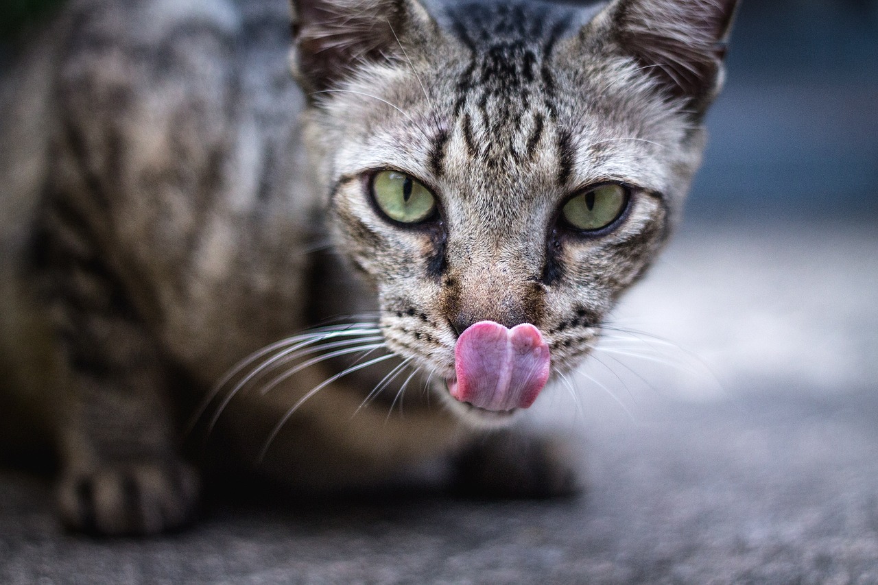 ¿Qué beneficios tiene sacar la lengua?